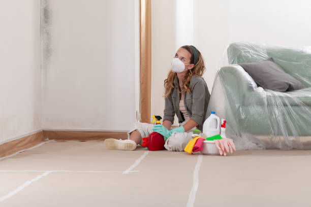 Reliable Black Mold Removal contractor in Youngsville, NC by WQB Mold Removal